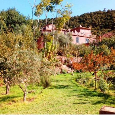 Ourika Timalizene Le Jardin Des Delices Tamezindert Exterior foto