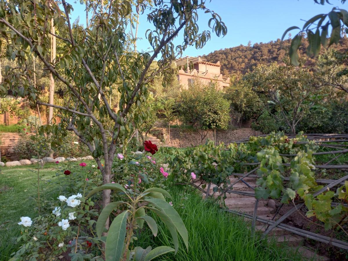 Ourika Timalizene Le Jardin Des Delices Tamezindert Exterior foto